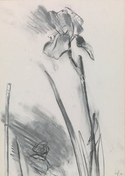Iris 2 by William Packer